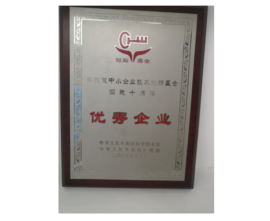 2009���Ƽ�����С��ҵ�����������ʵ��ʮ���ꡰ������ҵ��